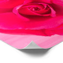 Suche nach romantische rote rose poster Blume