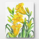 Suche nach hütte fotoplatten Jede person