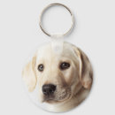 Suche nach goldenes labrador schlüsselanhänger Haustier