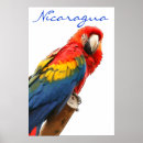 Suche nach nicaragua poster Grün