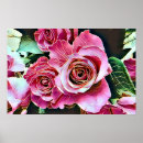 Suche nach hübsche rosa rosen poster Jede person