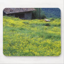 Suche nach siena mousepads Europa