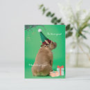 Suche nach boxerhund karten Jede person