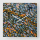 Suche nach versteinerte kunst Nah up