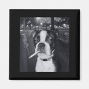 Suche nach lustige hunde magnete Kinder
