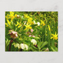 Suche nach fötus postkarten Für alle