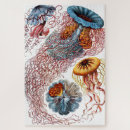 Suche nach haeckel puzzle Quallen