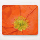 Suche nach orange mohnblume mousepads Natur