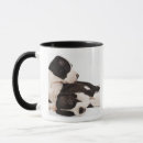 Suche nach doggen tassen Welpe