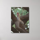 Suche nach panther leinwandbilder Natur