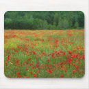 Suche nach toskana mousepads Feld
