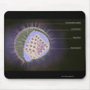 Suche nach die medizinische mousepads Virus