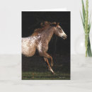 Suche nach appaloosa karten Foto