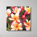 Suche nach plumeria leinwandbilder Floral