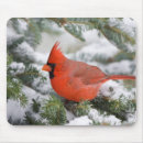 Suche nach tanne mousepads Superstock