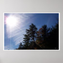 Suche nach sonnenstrahl poster Fotografie