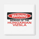 Suche nach vizsla magnete Welpe
