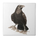 Suche nach raven fliesen Vogelvogel