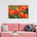 Suche nach mohnblumen leinwandbilder Für alle