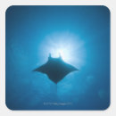 Suche nach manta aufkleber Unterwasser