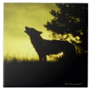 Suche nach heulen fliesen Wild lebende tiere