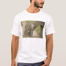 Suche nach indischer elefant tshirts Vom aussterben bedroht