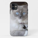 Suche nach ragdoll katzen iphone hüllen Tier