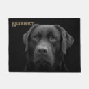 Suche nach schwarzer labrador Hunde