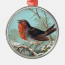 Suche nach vögel ornamente Schnee