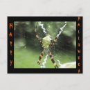 Suche nach spid postkarten Spinne