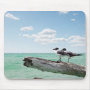 Suche nach seemöwe mousepads Vögel