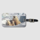 Suche nach polar gepäckanhänger Bären