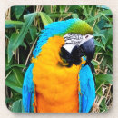 Suche nach maus untersetzer Tiere