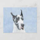 Suche nach great dane postkarten Welpe