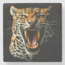 Suche nach jaguar untersetzer Katze