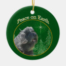 Suche nach bouvier des flandres ornamente Hund