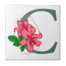 Suche nach buchstabe c fliesen Initialzündung