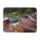 Suche nach viel gletscher karten Wald