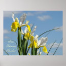 Suche nach iris blume poster Irises