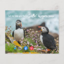 Suche nach papageientaucher Lustig