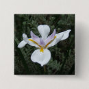 Suche nach malvenfarbenen buttons Blume