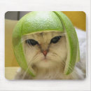 Suche nach ein in einer melone mousepads Melonen