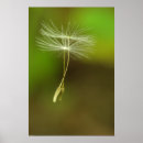 Suche nach glauben sie frei Natur