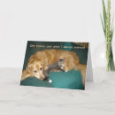 Suche nach lustige golden retriever karten Jede person