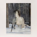 Suche nach schneesturm puzzle Winter