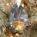 Suche nach gelber schmetterling ornamente Jede person