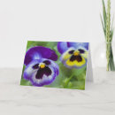 Suche nach pansy blume karten Blühen
