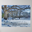 Suche nach sanftheit poster Schrift