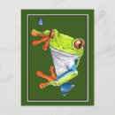 Suche nach baumfrosch postkarten Aquarell