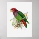 Suche nach zwei tiere poster Vintag